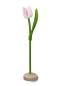 Preview: Wooden tulip in a wooden base, to stand, 34cm high, made in Holland, color: White/Pink